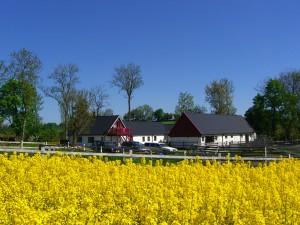 Country Sports Kennel