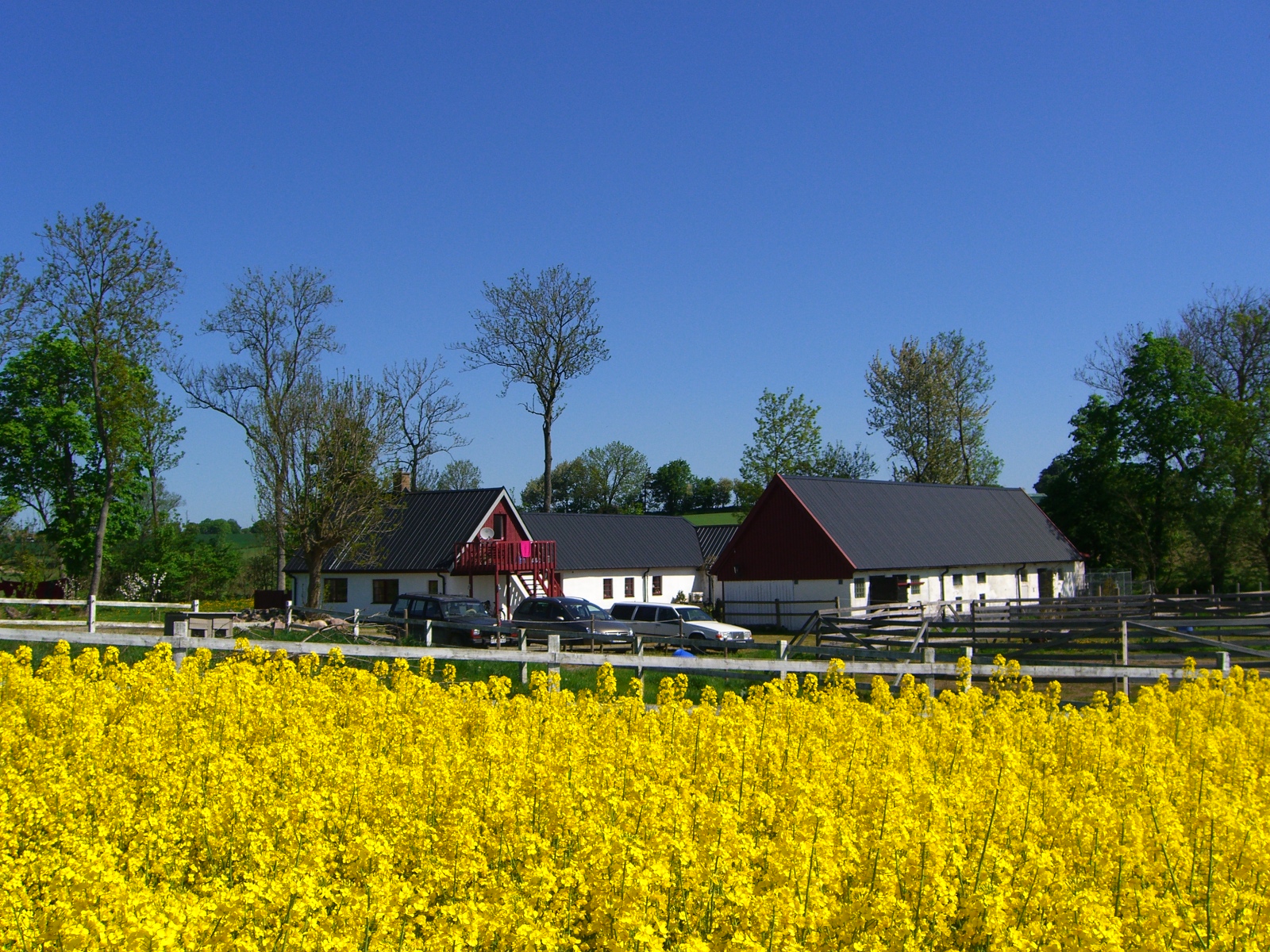 Country Sports Kennel