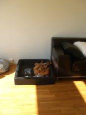 Lite vila