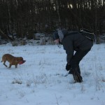 En Fox kommer lastad med dummy!