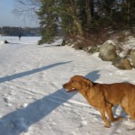 Här springer jag på Lilla Stamsjön!