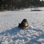Eller ja... Ibland var det lite jobbigt...!