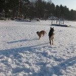 Djiin hade faktiskt lite svårt att hinna ikapp Röda Blixten!