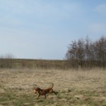 Husse! Titta vad jag hittade!