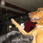 High five Snus!