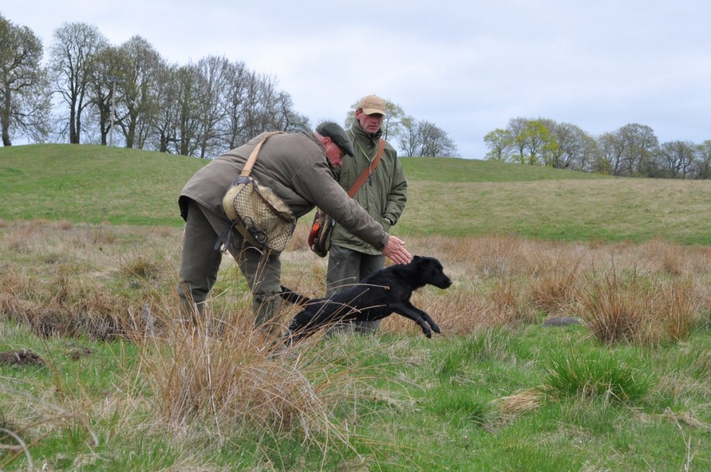 Rune skickar sin hund