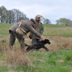 Rune skickar sin hund