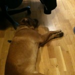 Zzzz...
