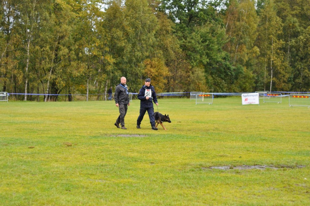 Martin å Brumma på plan