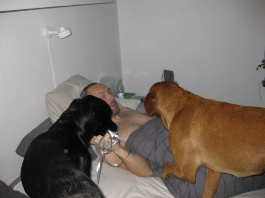 Husse vaknar med paket och hund i säng