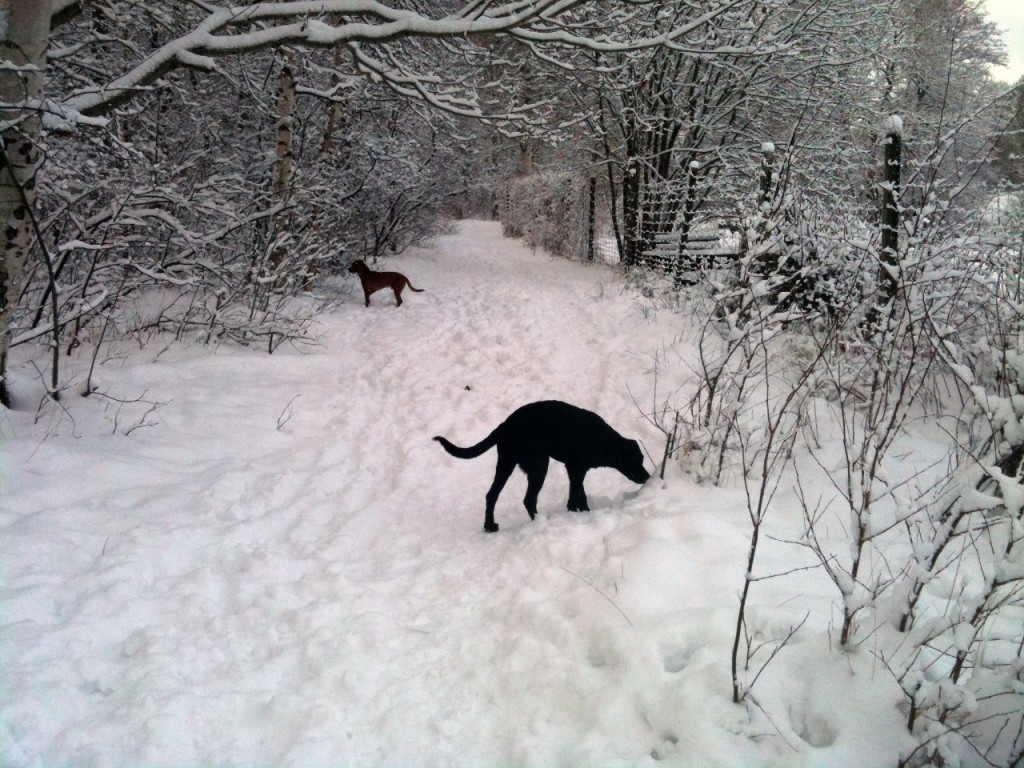 Bra då tar jag höger sida, om du Fox kan ta vänster.