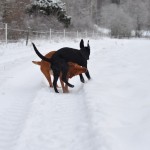 Dummebrorsa kan du vara själv!