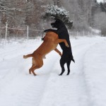 Nä jag är bäst!