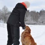 Och lämnar dummysarna mycket snyggt.