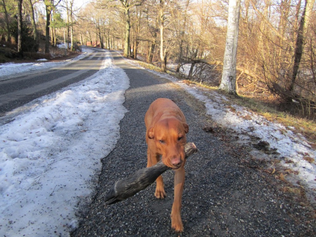 Och nu är det Fox som har hittat det.