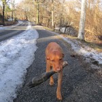 Och nu är det Fox som har hittat det.