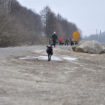 Jag på väg till husse efter träningspasset!
