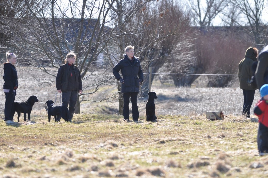 Agneta med Kit å Fia med Nero