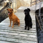 Nu vill vi hoppa i havet!