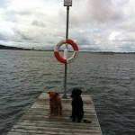 ...eller inte...