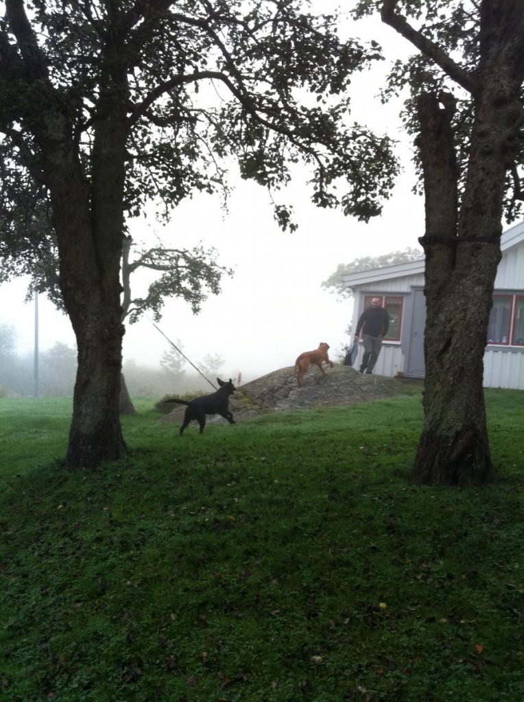 På besök i Mellanmjölkens land!