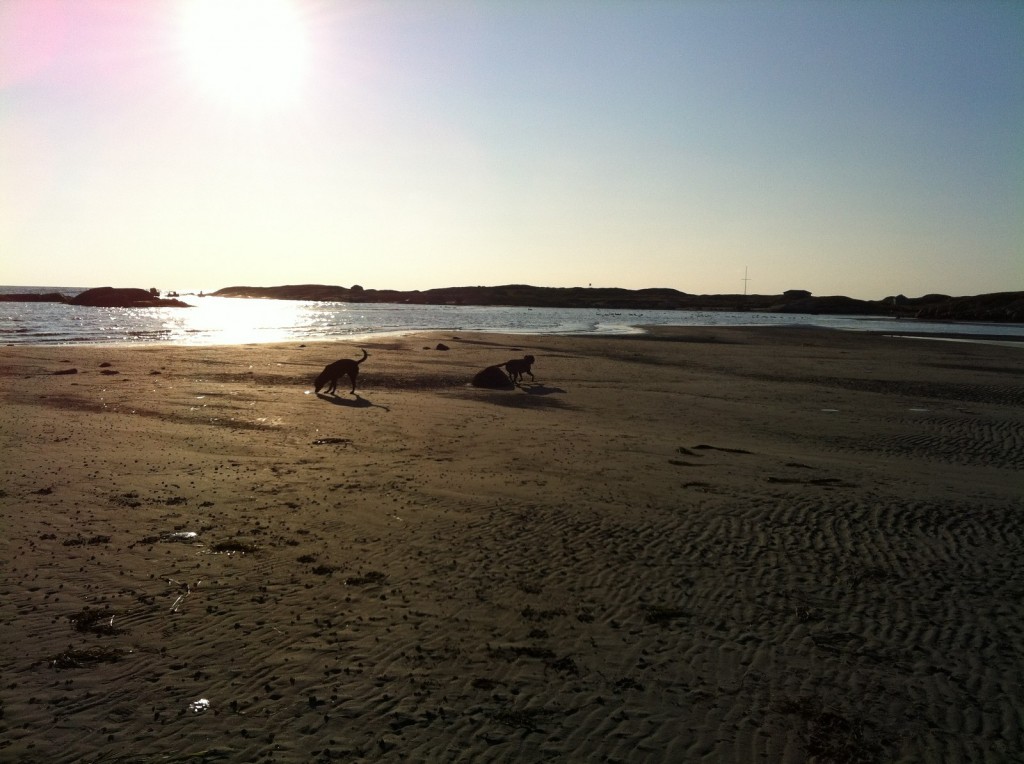 Hela stranden för oss själva!