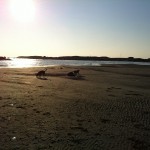 Hela stranden för oss själva!