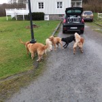 Hallå grabbar!