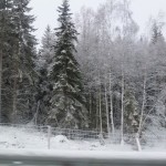 Oj. Skog med snö... Graderna är nere på -12!