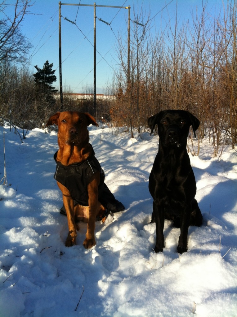 Och så kom vi hem, så var det lika mycket snö som i Stockholm! Härligt!