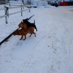 Hallå där! Jag heter Nero och är polis. Sluta genast upp med allt ni gör!