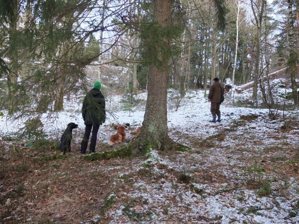 Väntan i skogen.