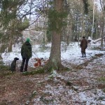 Väntan i skogen.