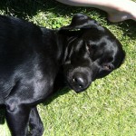 Tar igen mig lite i solen.