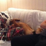 Fox sover upp-å-ner...