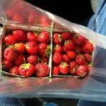 Mums i kartong.