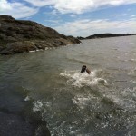 Snabbdopp under promenaden..