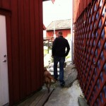 Vi tog en promenad och tittade på ostronodling.