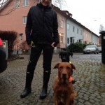 Matte, Nero och Fox skall ut på promenad.