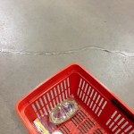 Nästa dag var vi på Hornbach. Ja, hundar FÅR vara med där!