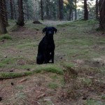 Och jag sitter och "vilar" bredvid.