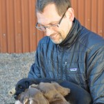 Trängsel hos husse.