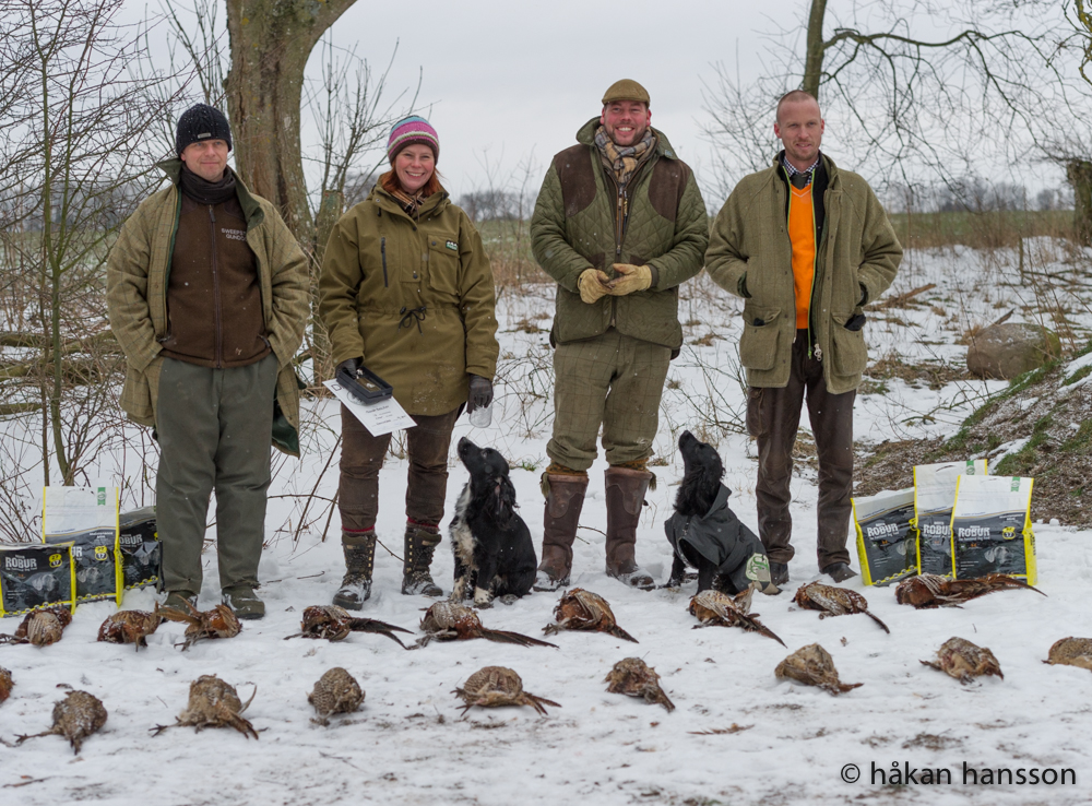 Cocker vinnarklass 2014