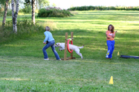 Sofia, Hugo och Clara tränar agility i Värmland