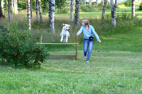 Hugo gillar att träna med Sofia