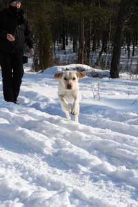 Husse! Här kommer jaaaag!