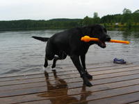 Här kommer Tessie med den finaste plastgiraffen i hela Värmland!