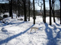 Hugo utmanar den trötta snögubben