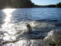 Åsså en simtur