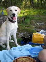 Hugo är på picnic